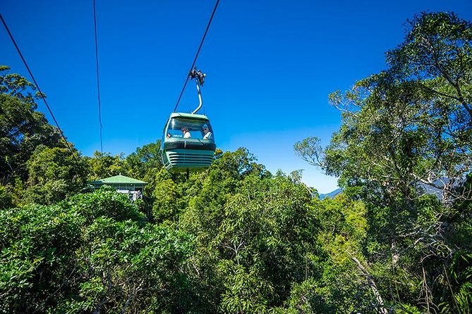 Skyrail Rainforest Cableway Day Trip from Cairns - Skyrail gives you the grand view first