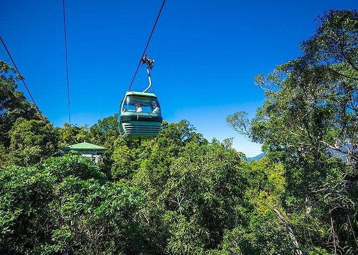 Skyrail Rainforest Cableway Day Trip from Cairns - The Kuranda Scenic Railway is historic, slow, and weather-sensitive