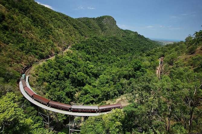 Skyrail Rainforest Cableway Day Trip from Cairns - Choose the direction that fits your priorities