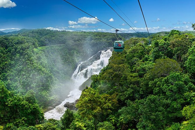 Skyrail Rainforest Cableway Day Trip from Port Douglas - Two rainforest stops make the cableway more than a ride