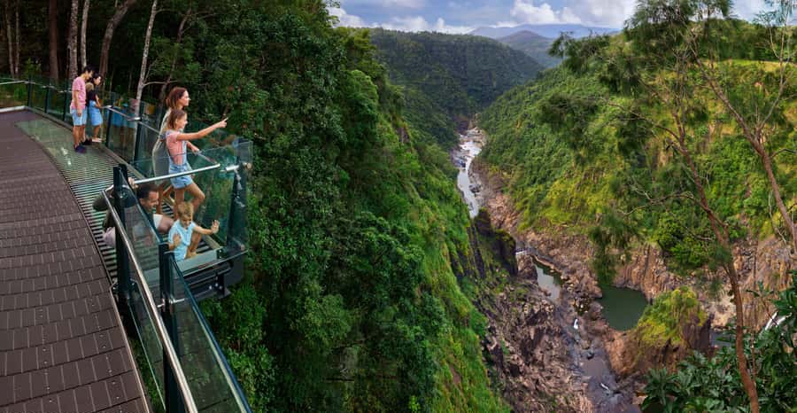 Skyrail Rainforest Cableway Round-Trip Experience - Barron Falls Station and The Edge Lookout