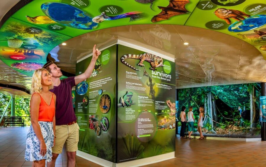 Skyrail Rainforest Cableway Round-Trip Experience - Why the $75 price can make sense