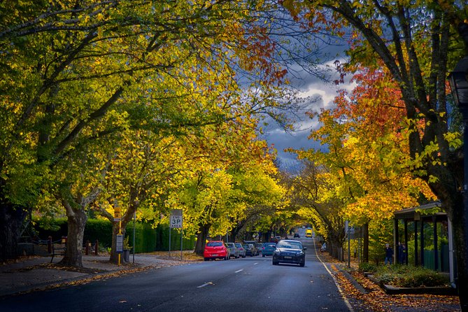 Small Group Adelaide Hills and Hahndorf Hideaway Tour from Adelaide - Hahndorf lunch is generous, German-style and filling