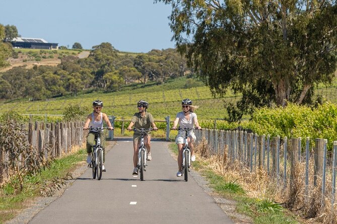 Small Group McLaren Vale and The Cube Experience - Is $161.38 good value?