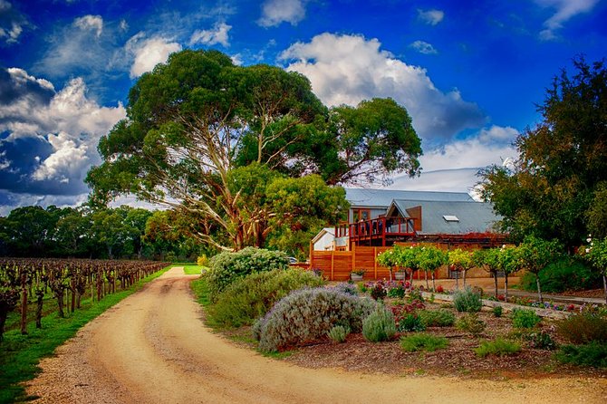Small-Group River Murray Dark Sky and Sunset Tour with Dinner - Who will enjoy this evening most