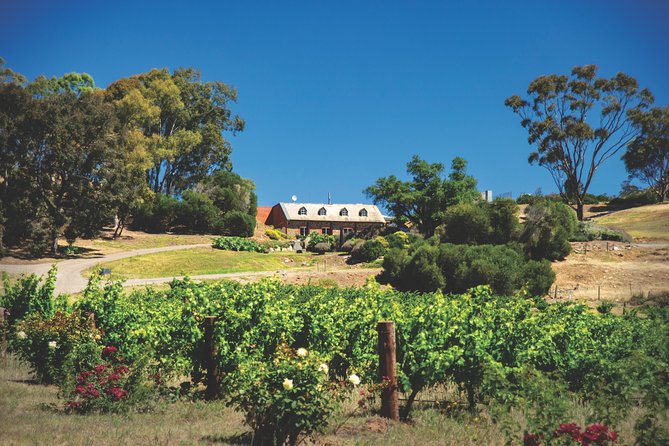 Small Tour Barossa Valley Voyager Tour from Adelaide - The route may include a fourth winery or Maggie Beer’s Farm Shop