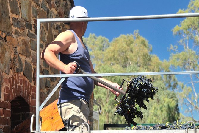 Small Tour Barossa Valley Voyager Tour from Adelaide - Why the small group changes the day