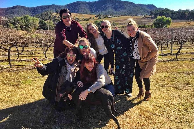 Snapshot Half Day Hunter Valley Wine Tour - The rolling Hunter Valley scenery between tastings