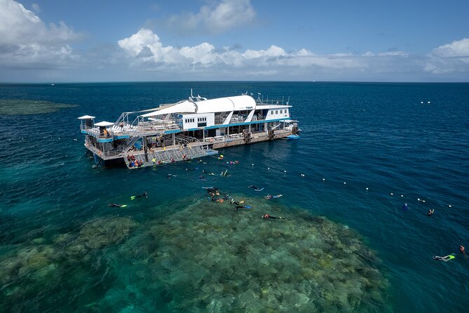 Snorkel & Dive the Reef: Sustainable, Scientific & Cultural Tour - Leaving Cairns on the 8 a.m. catamaran