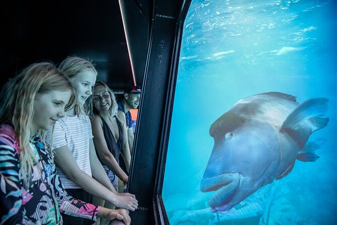 Snorkel & Dive the Reef: Sustainable, Scientific & Cultural Tour - Lunch, tea, and the practical rhythm of the day