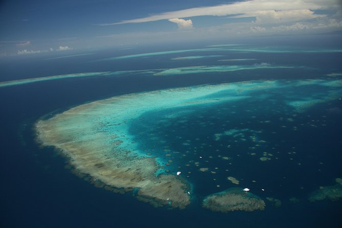 Snorkel & Dive the Reef: Sustainable, Scientific & Cultural Tour - Who should book this reef trip?