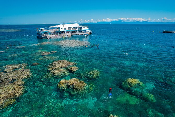 Snorkel & Dive the Reef: Sustainable, Scientific & Cultural Tour - Glass-bottom boats and the underwater observatory