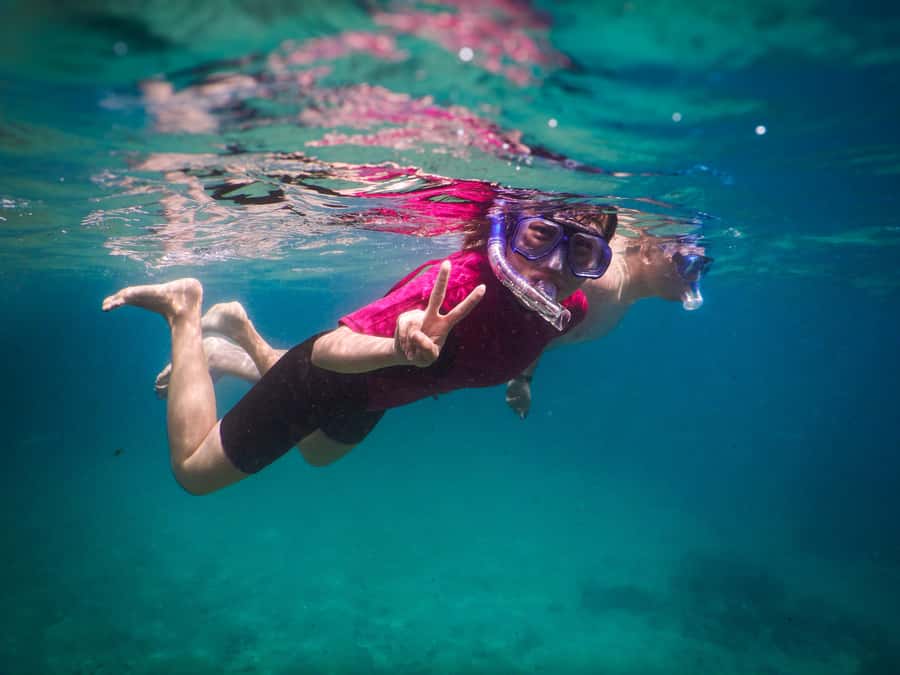 Snorkeling Tour: Discover Sydney’s impressive sea life - The marine life you are most likely to remember