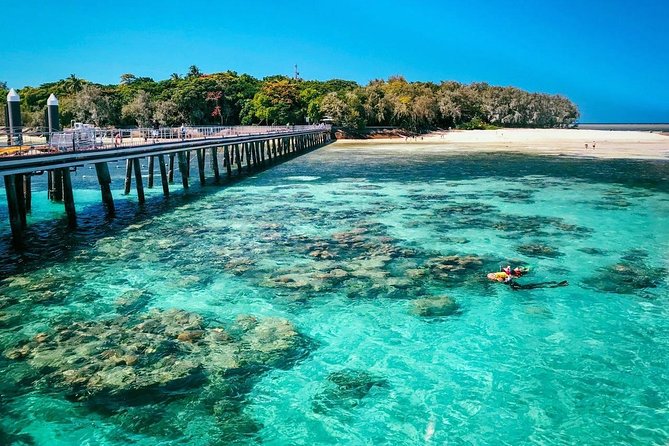 Snorkelling and Glass Bottom Boat at Green Island from Cairns - Key points to know