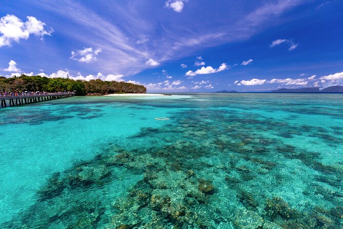 Snorkelling or Glass Bottom Boat at Green Island from Cairns - Pool, beach, and island facilities