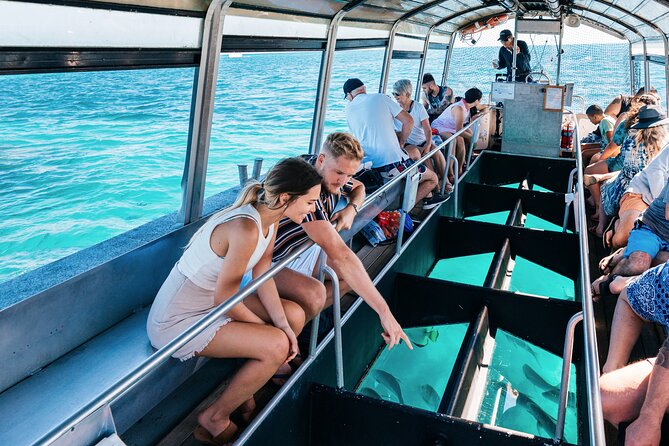 Snorkelling or Glass Bottom Boat at Green Island from Cairns - Choosing snorkelling or the glass-bottom boat