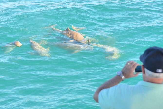 Snubfin Dolphin Eco Cruise from Broome - The boom net swim depends on conditions