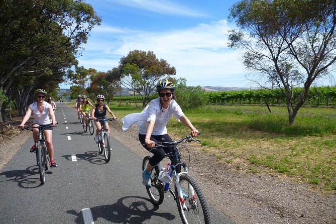 Southern Barossa: 10-Minute Helicopter Flight - A private flight with a friendly feel