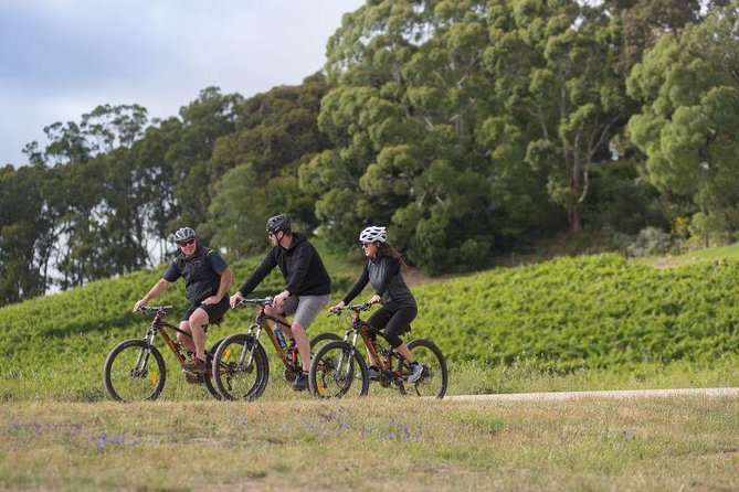 Southern Barossa: 10-Minute Helicopter Flight - Who will enjoy this most?