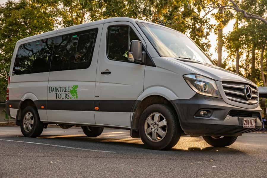 Southern Daintree Explorer Tour - Half Day - Morning tea and lunch keep the schedule simple