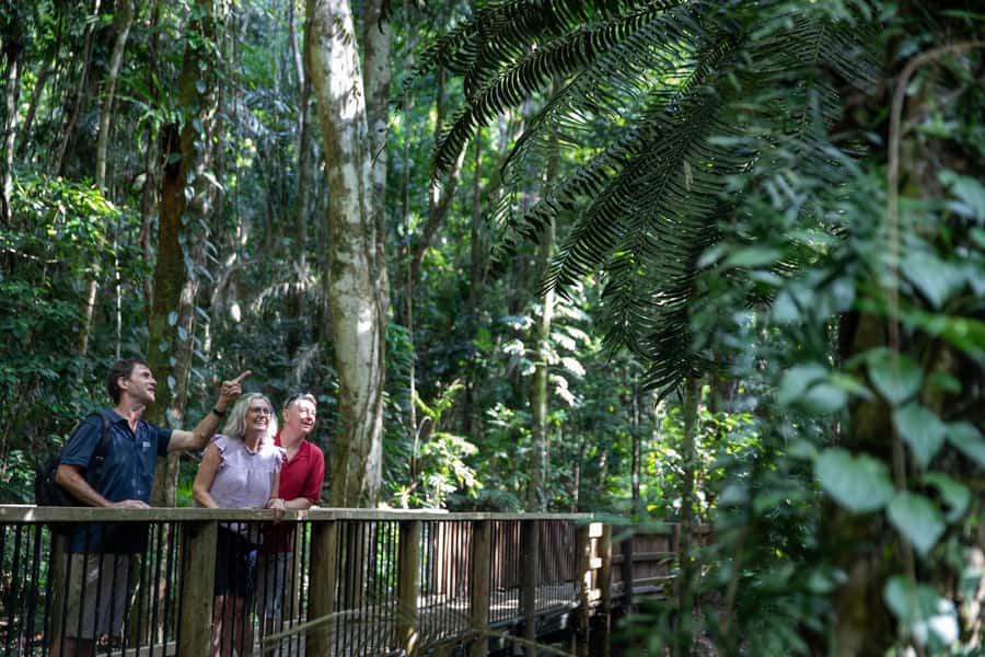 Southern Daintree Explorer Tour - Half Day - Who will get the most from this Daintree tour