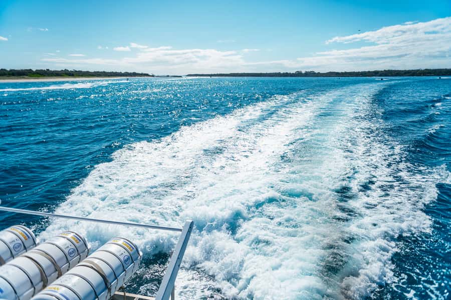 Spirit of Gold Coast 2.5-Hour Whale Watching Tour - Searching for whales with Captain Dean