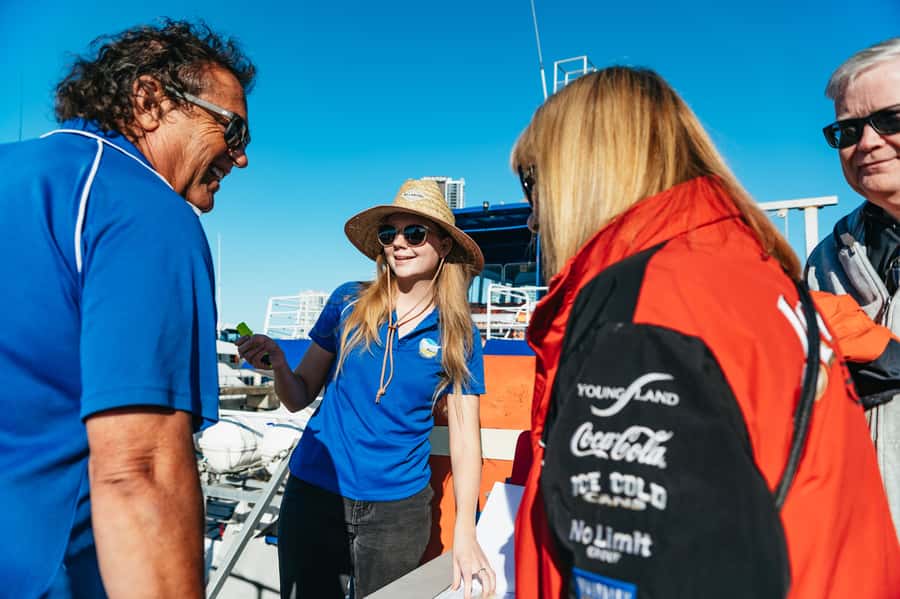 Spirit of Gold Coast 2.5-Hour Whale Watching Tour - What you might see in the water