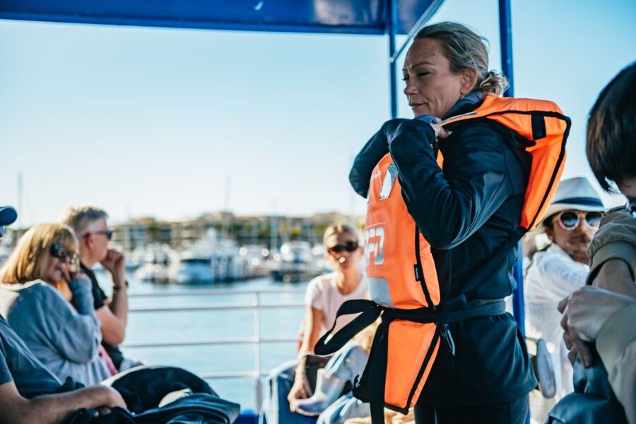 Spirit of Gold Coast 2.5-Hour Whale Watching Tour - The best places to stand and sit