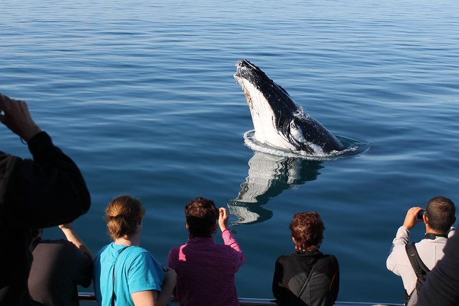 Spirit of Hervey Bay Whale Watching Cruise - Tea, drinks, and the practical comforts