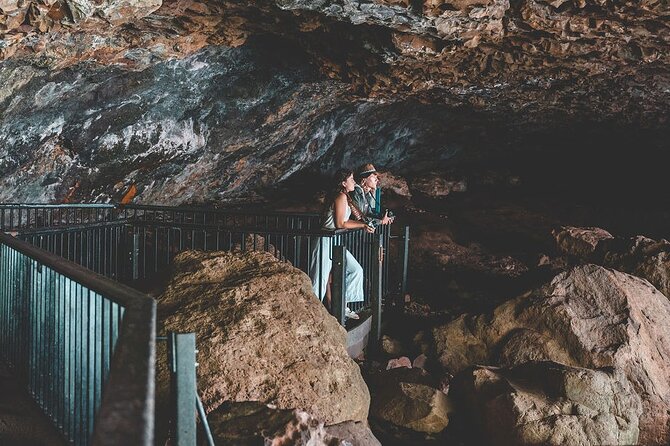 Springbrook andTamborine Rainforest Tour Incl Natural Bridge and Glow Worm Cave - Curtis Falls and the 101-step walk