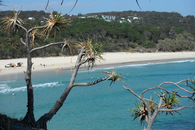 Stradbroke Island 4WD Day Trip from Brisbane - Dunwich and the search for koalas