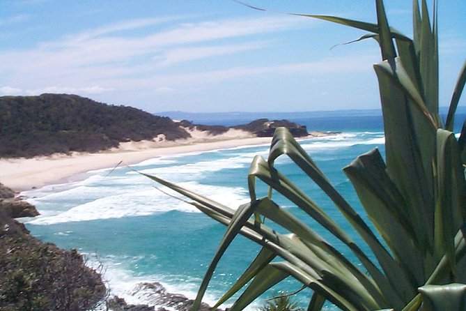 Stradbroke Island 4WD Day Trip from Brisbane - A barbecue lunch with a local touch