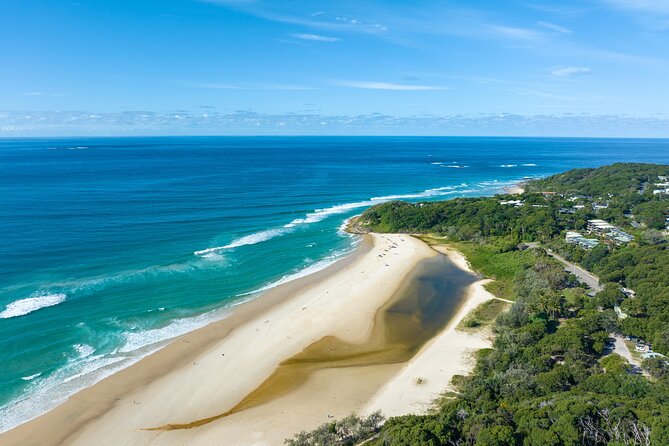 Stradbroke Island Eco Day Trip from Brisbane – Wildlife & Beaches - Wildlife: what you might see and when