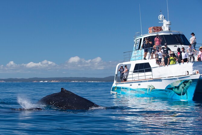SUMMER K'gari (Fraser Island) Boom-net & Sightseeing Cruise - What the captain and crew add