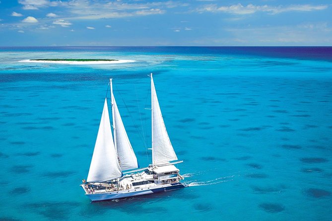 Sunlover Reef Cruises Cairns Great Barrier Reef Experience - Glass-bottom boat and underwater viewing