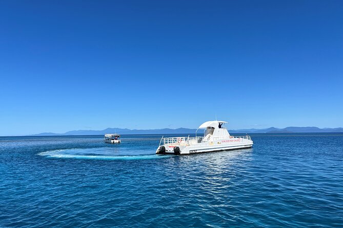 Sunlover Reef Cruises Cairns Great Barrier Reef Experience - Fish feeding and marine presentations