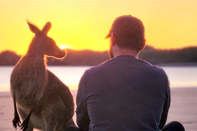 Sunrise with the kangaroos and wallabies - Dawn on the beach with kangaroos and wallabies
