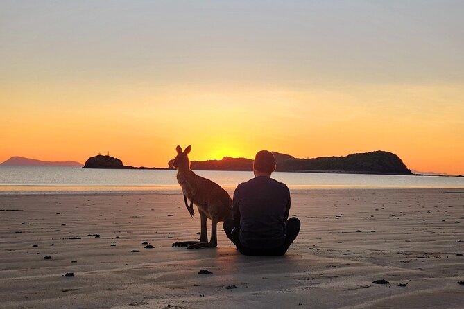 Sunrise with the kangaroos and wallabies - What the $109.61 price includes