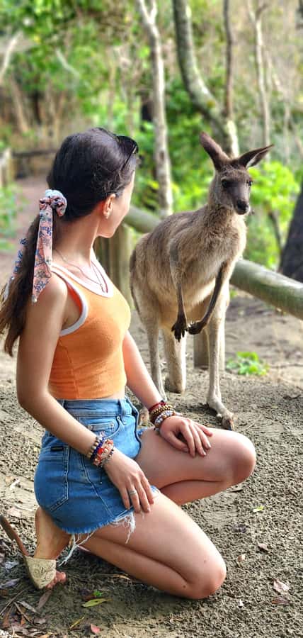 Sunrise with the Kangaroos & Wallabies - Airlie Beach - Sunrise on the Cape Hillsborough beach