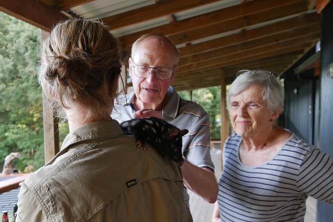 Sunset Experience - Meeting Tasmanian devils after closing time