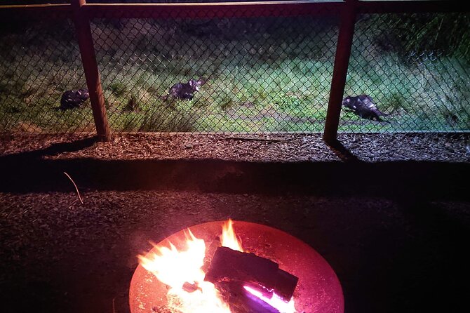 Sunset Experience - The nursery and quolls add variety
