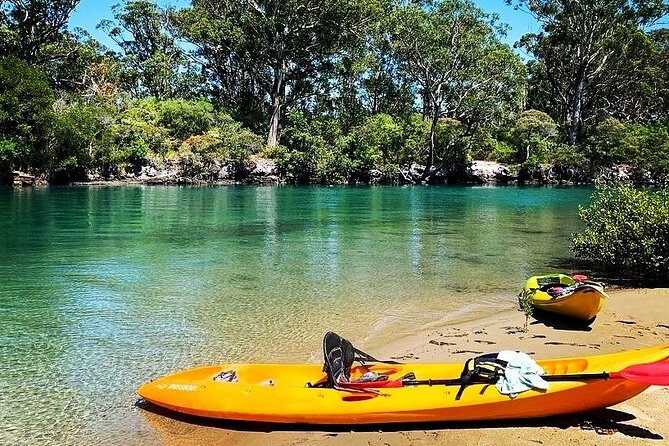 Sunset Kayak Eco Tour with Marine Scientist - Why sunset is the right time for Boambee Creek