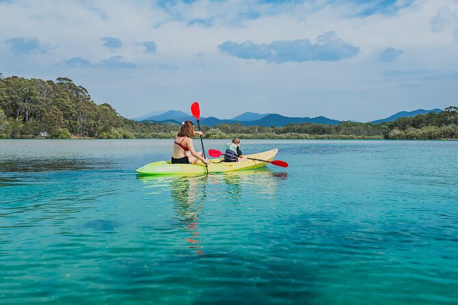 Sunset Kayak Eco Tour with Marine Scientist - Looking for stingrays and creek wildlife