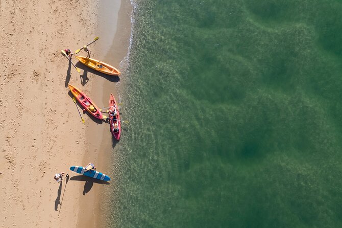 Sunset Kayak Eco Tour with Marine Scientist - Is $43.03 a good price for two hours?