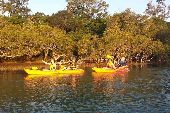 Sunset Kayak Eco Tour with Marine Scientist - Who should book this Coffs Harbour kayak tour?