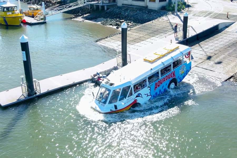 Sunshine Coast: 1-Hour Land and Water Tour - Who should book this Mooloolaba tour
