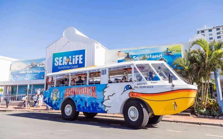 Sunshine Coast: 1-Hour Land and Water Tour - The Aquaduck’s splash into the Mooloolah River