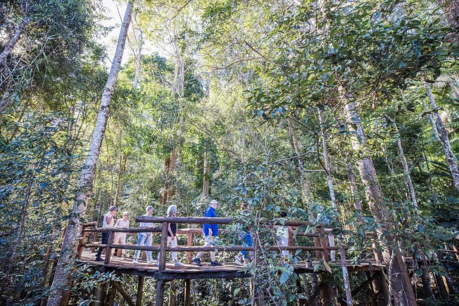 Sunshine Coast & Noosa Hinterland Scenic Culinary Experience - Mapleton Falls completes the return route