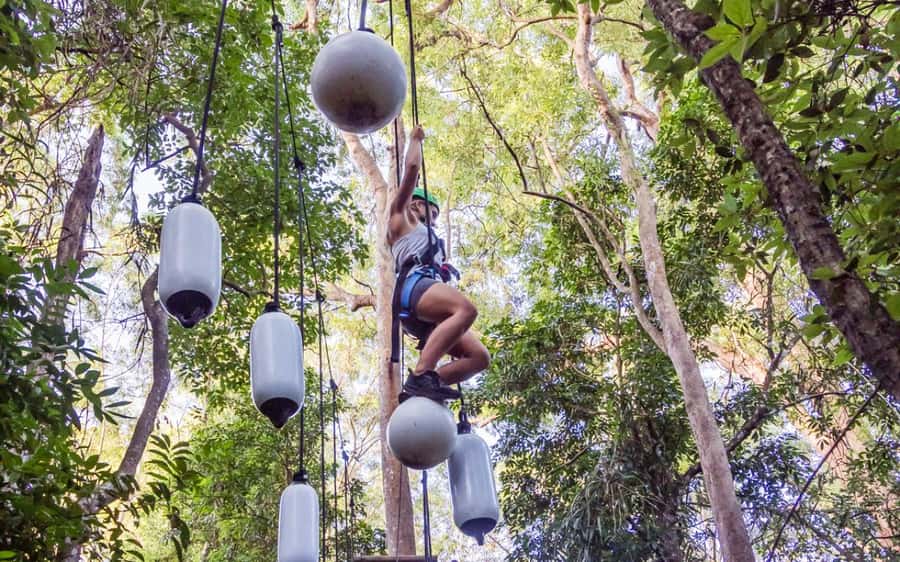 Sunshine Coast: Treetop Challenge Adventure Park - The first two easy courses