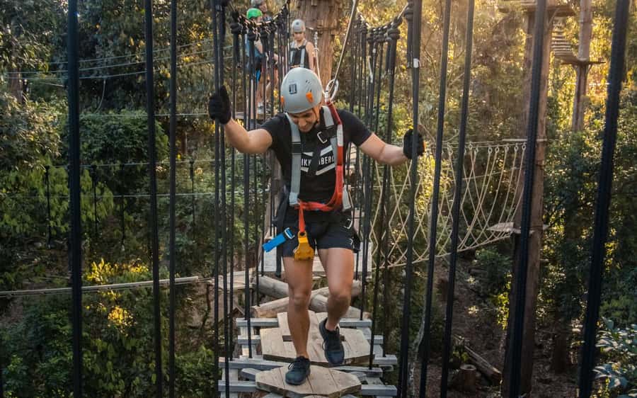 Sunshine Coast: Treetop Challenge Adventure Park - Practical tips for a smoother visit
